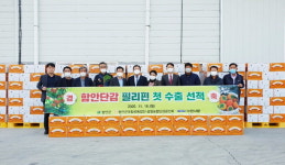 함안 단감, 필리핀 입맛 공략