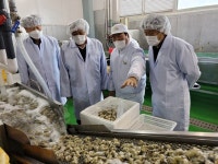 aT, 통영·거제 수산물 수출업체 의견 청취