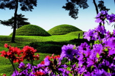 걸으면 좋은 봄