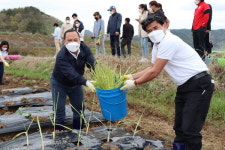 캄보디아 이주민들 고향 채소 직접 경작