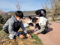 밀양동강중, 학교 주변 생태 체험