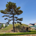 때묻지 않은 행성에 착륙한 듯 경이로운 탐방
