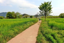 녹음 짙은 한 폭 수채화 속으로