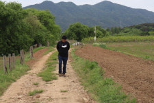 문화재 1200개 발견 집념...작은 돌도 뒤집어 봤죠