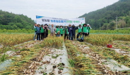사천 곤명농협 마늘재배 농가 일손돕기 활동