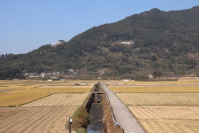 하동 바다에서 차밭까지 걸음마다 새로워라