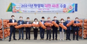 합천군 햇양파 대만 수출 선적식