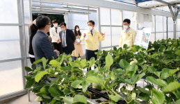 허성곤 김해시장 청년농업인 격려
