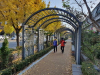 일상 조각조각 더 특별해보이네 사람 있어서