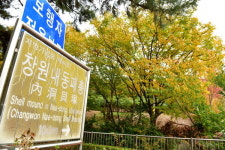 양묘장 방치 창원 내동패총 시굴조사