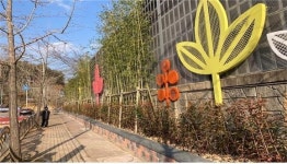 김해 3개 초등학교 등교길에 숲 조성
