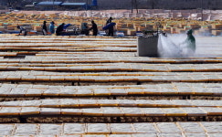 한천 만들기 딱 좋은 날