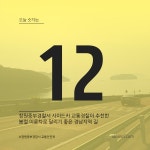 12개
