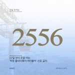 2556m