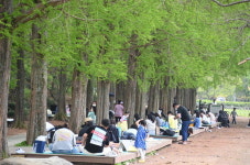 거리 두기 없는 주말 나들이객 북적