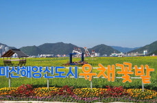 마산해양신도시 둘레 산책로 걸어볼까