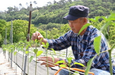 조작된 간첩, 열네 살 때 그 일이 한평생 감옥 돼