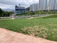 방치됐던 창원 도계동 고분군 공원 변신