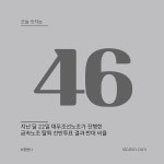 오늘 숫자는 46