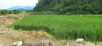 창녕읍 용석리 후포마을 축사허가 논란