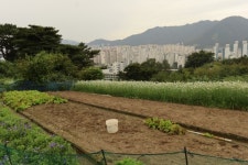 양산 대표 고대 생활유적...가야 흔적 곳곳에