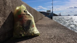 민낯 앞에 5L 종량제 봉투 쥔 손 민망했다