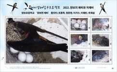 양보초, 양보면 제비 동아리 기념 우표 제작