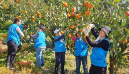 하나님의교회, 창원 북면 농가 일손 돕기