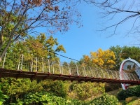 고성군, 상족암 군립공원 출렁다리 보수 완료