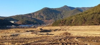 겨울철새 사라진 삼랑진 율동마을 저습지