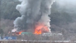 창원 진전면 버섯재배농장서 불