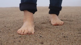 조금만 더, 낙동강 모래톱을 지켜주세요