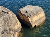 30년전 확연했던 의암 글자 사라질 위기 주장 나와