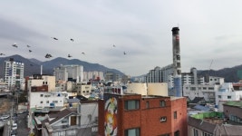 경남 동네 목욕탕 흥망성쇠