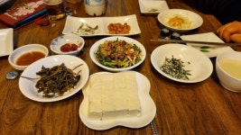 50년 마산 사랑방 만초 오늘도 불을 켰소