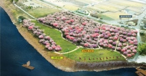 김해 상동 용당나루터에 매화공원 생겼다