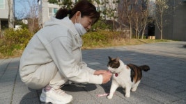 고양이랑 더불어 사는 삶을 택한 아파트