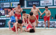 창원 교방초 학산김성률배씨름 단체전 우승