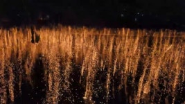 함안군 낙화놀이 대혼란... 관광객 불만 폭발