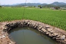 간척 사업으로 탄생한 민물습지, 그 너른 품에 생태계 안기다