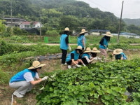 K-water 남강댐지사 공유 농장서 봉사활동