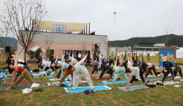 명상하기 좋은 가을 요가의 세계로