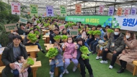 창원시 로컬푸드 우수 소비자 수확 체험 활짝