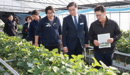 김명수 원예특작과학원장 함양 딸기농장 방문