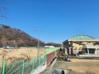 아름드리나무 세 그루와 함께 함안 하면 떠오르던 그곳
