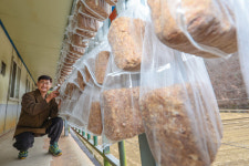 [사진뉴스]  장 담그는 계절이 왔어요