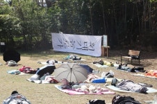 [문화 기웃대기] 가로수길에 드러누워 봐요 …얼마나 새로운지