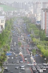 창원시 BRT 전체 완성해야 효과 제대로
