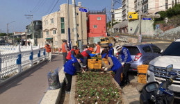 통영 미수동주민센터 산책로 여름꽃 조성