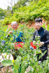 [사진뉴스] 산청 블루베리 수확